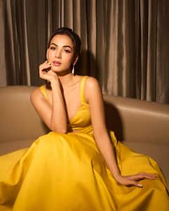 सोनल चौहान की 10 तस्वीरें, मिर्जापुर 3 में काटने वाली हैं बवाल