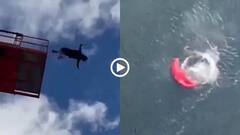 Video: कई फीट ऊपर से लगाई छलांग, नहीं खुला शख्स का पैराशूट, फिर जो हुआ... हादसे का वीडियो वायरल