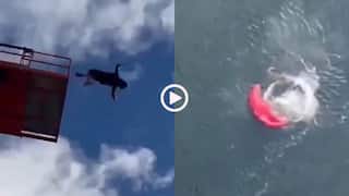 Video: कई फीट ऊपर से लगाई छलांग, नहीं खुला शख्स का पैराशूट, फिर जो हुआ... हादसे का वीडियो वायरल