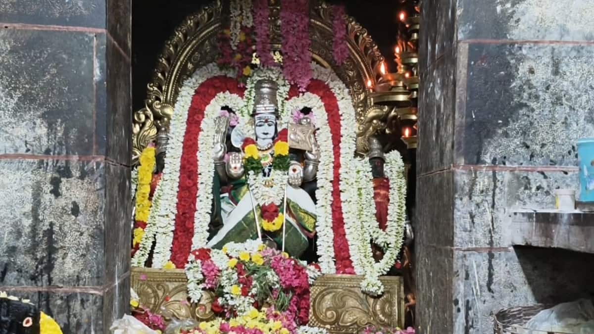 தஞ்சாவூரில் கந்த சஷ்டி: சூரசம்ஹாரம் கோலாகலம்! ஆயிரக்கணக்கான பக்தர்கள் தரிசனம்! திருக்கல்யாண வைபவம்!