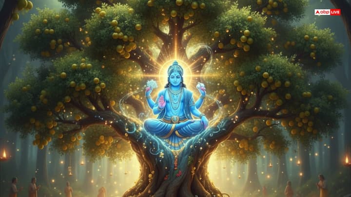 हिंदू धर्म में अक्षय नवमी का विशेष महत्व होता है. इसे आंवला नवमी के नाम से भी जाना जाता है. धार्मिक मान्यताओं के अनुसार, कार्तिक मास के नवमी तिथि से लेकर पूर्णिमा तक आंवले के वृक्ष में भगवान वी विष्णु का वास होता है. इसलिए इस दिन आंवले के पेड़ की पूजा की जाती है.