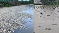 ગીર સોમનાથના સૂત્રાપાડામાં ચોથા દિવસે માવઠાનો માર, સાત ઈંચ વરસાદથી ખેતરો જળબંબાકાર