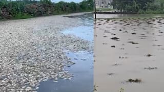 ગીર સોમનાથના સૂત્રાપાડામાં ચોથા દિવસે માવઠાનો માર, સાત ઈંચ વરસાદથી ખેતરો જળબંબાકાર