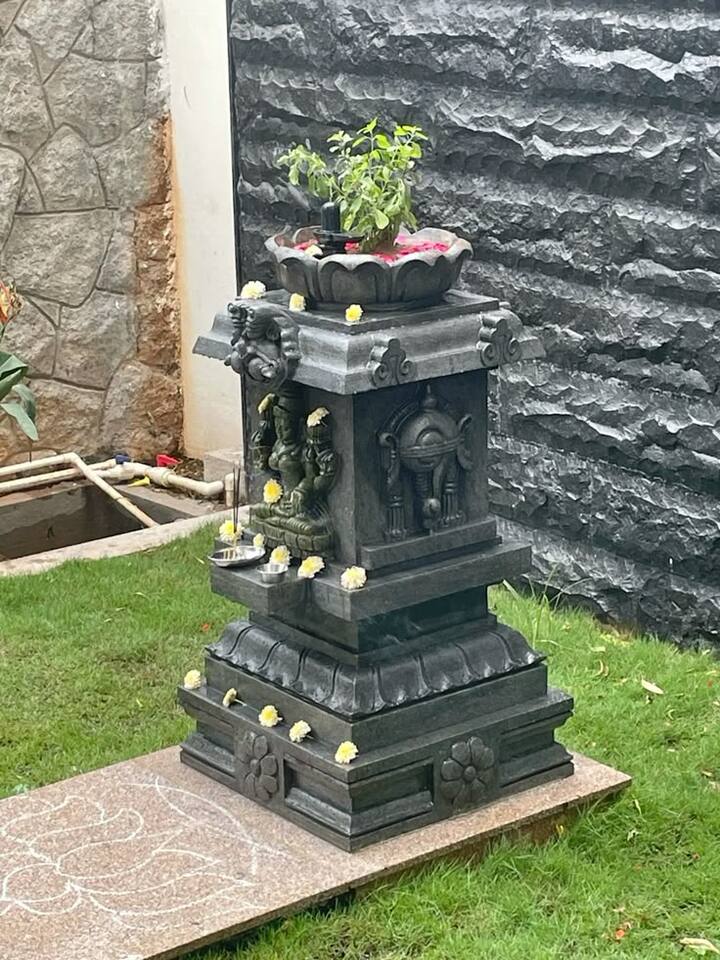 वास्तुशास्त्रानुसार तुळशी विवाहच्या दिवशी तुळस आणि शिवलिंग एकत्र ठेवू नये; तुळशीजवळ शिवलिंग ठेवल्याने पूजेमध्ये दोष निर्माण होतात.