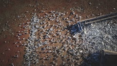 20 Injured As Two APSRTC Buses Collide Head-On In Andhra’s Chittoor District