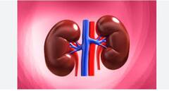Kidney Failure: ਕਿਡਨੀ ਫੇਲ੍ਹ ਦਾ ਕਾਰਨ ਬਣਦੀਆਂ ਵਿਟਾਮਿਨ D ਦੀਆਂ ਗੋਲੀਆਂ! ਜਾਣੋ ਕਿਵੇਂ ਵੱਧਦਾ ਖਤਰਾ? ਮਾਹਰ ਬੋਲੇ- ਹੌਲੀ-ਹੌਲੀ ਗੁਰਦੇ ਦੀ ਪੱਥਰੀ...