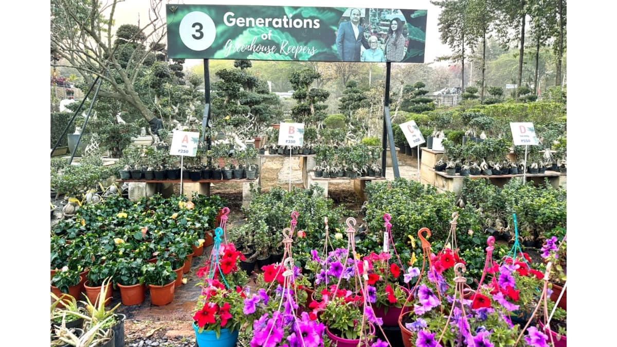 Greenways Nursery aims to spread greenery across country