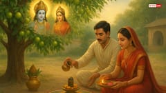 आंवले के वृक्ष में होता है विष्णु-लक्ष्मी का वास, जानें इस दिन का महत्व और पूजन विधि