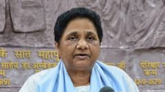 Bihar Election Results 2025: BSP Leads In Single Seat, Shows ECI Data