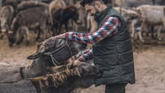 ये हैं भारत के 7 सबसे मशहूर पशु मेले, इंसानों से ज्यादा नजर आते हैं जानवर