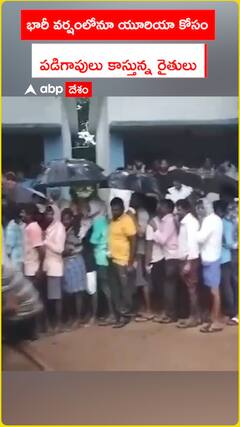 భారీ వర్షంలోనూ యూరియా కోసం పడిగాపులు కాస్తున్న రైతులు