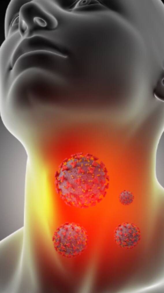 হাওয়াবদল হতেই গলাব্যথা? সারান ঘরোয়া টোটকায়