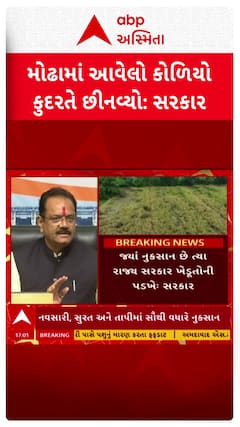 Jitu Vaghani : મોઢામાં આવેલો કોળિયો કુદરતે છીનવ્યો, સરકારનું પાક નુકસાની મુદ્દે નિવેદન