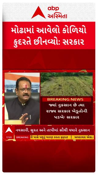 Jitu Vaghani : મોઢામાં આવેલો કોળિયો કુદરતે છીનવ્યો, સરકારનું પાક નુકસાની મુદ્દે નિવેદન