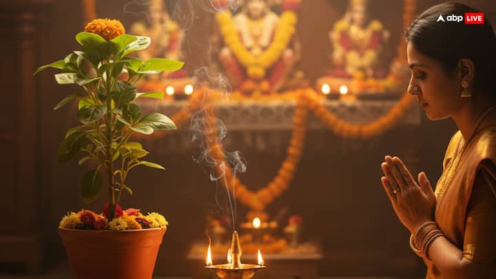 तुलसी विवाह के दिन शाम के वक्त तुलसी के पौधे के नीचे शुद्ध देसी घी का दीपक जलाएं और जलाते समय अपनी मन की मनोकामना कहें. यह करने के बाद तुलसी चालीसा का पाठ करें और देवी का वैदिक मंत्र