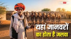 ये हैं भारत के 7 सबसे मशहूर पशु मेले, इंसानों से ज्यादा नजर आते हैं जानवर