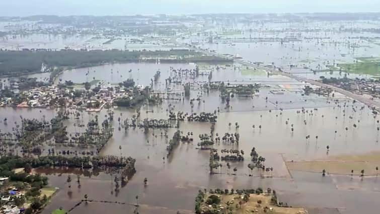 Cyclone Montha: 3 Dead as Crops, Power Lines Destroyed, Massive Crop Loss Reported Cyclone Montha: 3 Dead as Crops, Power Lines Destroyed, Massive Crop Loss Reported