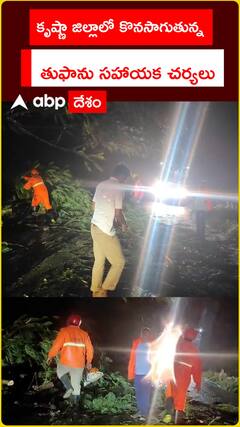 Cyclone Montha Effect in Krishna District