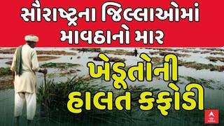 Saurashtra Unseasonal Rain: સૌરાષ્ટ્રના જિલ્લાઓમાં માવઠાનો માર, ખેડૂતોની હાલત કફોડી