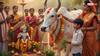 Gopashtami 2025: गोपाष्टमी पर इस विधि से करें गौ माता की पूजा, मिलेगा श्री कृष्ण का आशीर्वाद!