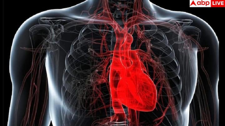 दिल का तेज धड़कना, रुक-रुककर धड़कना या फड़फड़ाना, यह इस बात का संकेत हो सकता है कि दिल ब्लड पंप करने में संघर्ष कर रहा है. इसे अरिद्मिया कहा जाता है और यह हार्ट डिजीज का हिस्सा हो सकता है.