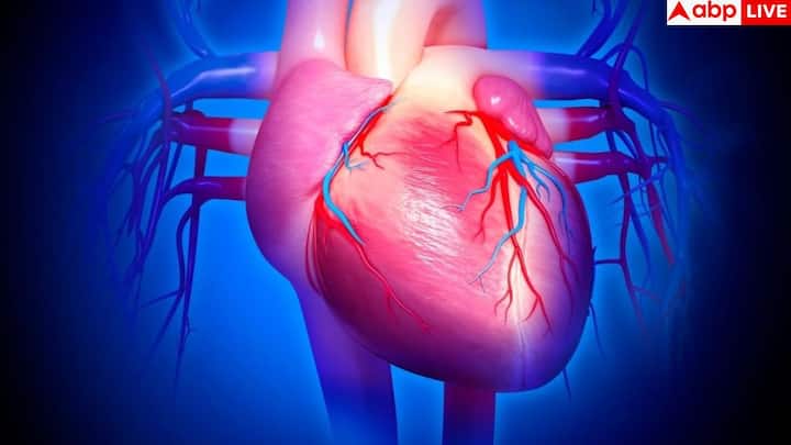 अगर सीढ़ियां चढ़ना, थोड़ी दूर पैदल चलना या घर का साधारण काम अचानक से भारी लगने लगे, तो यह संकेत है कि हार्ट शरीर की जरूरत के हिसाब से ब्लड पंप नही कर पा रहा. इसे एक्सरसाइज इंटॉलरेंस कहते है और यह हार्ट फंक्शन के कमजोर होने का शुरुआती लक्षण है.