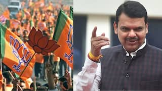 Maharashtra Politics BJP: चांद्यापासून बांद्यापर्यंतचे नेते भाजपमध्ये निघाले, शत प्रतिशतच्या दिशेने दमदार पाऊल, कोणकोणते नेते कमळ हातात घेणार?