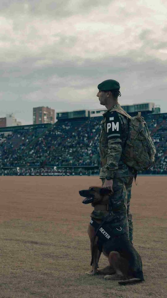 இந்திய இராணுவத்தில் நாய்களை எவ்வாறு நியமிக்கிறார்கள்?