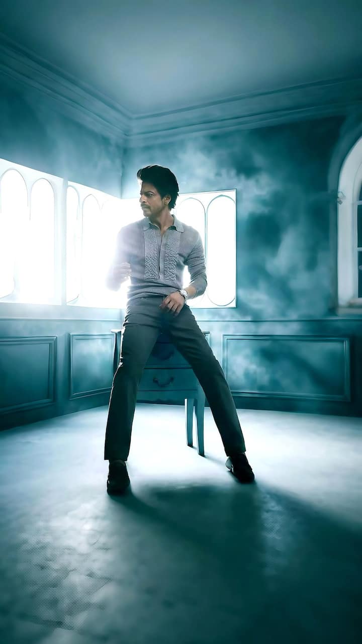 King Khan, i.e. Shahrukh Khan has a bungalow in Delhi, the famous 'Mannat' of Mumbai and a beautiful holiday house in Alibaug. Apart from this, he also has properties in Dubai and London. His luxurious house built on 'Palm Jumeirah' of Dubai is called 'Jannat', which was gifted to him by a real estate company. This is a luxurious villa built in 14,000 square feet, whose price is said to be around Rs 18 crore.