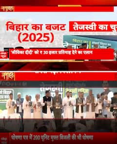 Bihar election 2025: हसीन सपने पूरे करने के लिए Tejashwi कहां से लाएंगे 10 लाख करोड़?  | ABP NEWS SHORTS