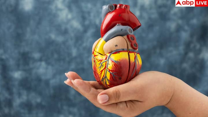 पैरो या टखनो में सूजन पेरिफेरल एडेमा तब होती है जब ब्लड का फ्लो धीमा हो जाता है और फ्लूइड आसपास के ऊतको में जमा होने लगता है. ग्रेविटी की वजह से यह सूजन ज्यादा तर पैरो और टखनो में नजर आती है.