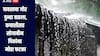 पावसाचा जोर पुन्हा वाढला, कपाशीसह सोयाबीन पिकांना मोठा फटका, शेतकरी चिंतेत, हवामान विभागाचा अंदाज काय?