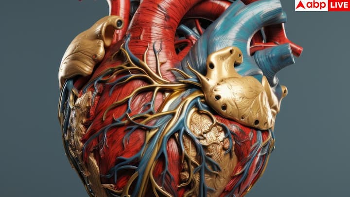 लगातार थका हुआ महसूस करना, ऊर्जा की कमी या कमजोरी, भले ही आराम पूरा मिल रहा हो, यह भी हार्ट फेल्योर का संकेत हो सकता है. जब दिल पर्याप्त खून पंप नही करता तो मांसपेशियो और अंगो को ऑक्सीजन और एनर्जी नही मिल पाता.