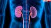 What Happens to Old Kidney after Transplant: किडनी ट्रांसप्लांट के बाद पुरानी किडनी का क्या करते हैं डॉक्टर? होश उड़ा देगी यह हकीकत