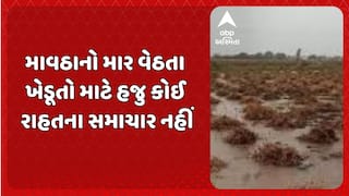 Gujarat Rain Forecast : માવઠાનો માર વેઠતા ખેડૂતો માટે હજુ કોઈ રાહતના સમાચાર નહીં