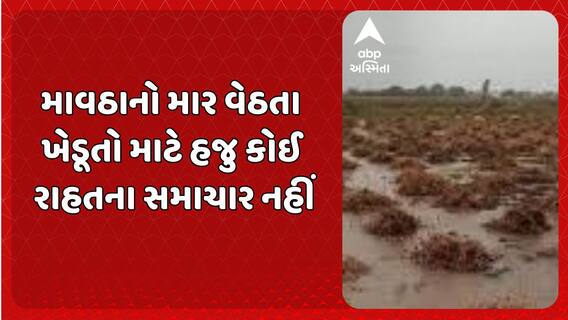 Gujarat Rain Forecast : માવઠાનો માર વેઠતા ખેડૂતો માટે હજુ કોઈ રાહતના સમાચાર નહીં
