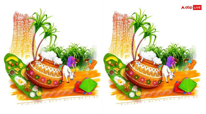 పొంగల్ తమిళనాడు , దక్షిణ భారత రాష్ట్రాలలో పొంగల్ పండుగను ఎంతో ఘనంగా జరుపుకుంటారు, ఇది నాలుగు రోజుల పాటు జరుగుతుంది. ఈ పండుగలో సూర్య భగవానుడిని పూజిస్తారు.