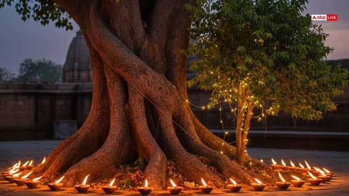 देव दिवाली पर पीपल के वृक्ष और आंवला के वृक्ष के नीचे दीपक जलाना शुभ माना जाता है. इसलिए आप पीपल और आंवला के वृक्ष के नीचे भी दीपक जलाएं. ऐसा करने से घर में सुख समृद्धि बनी रहेगी, देवता प्रसन्न होंगे और घर में माता लक्ष्मी स्थिर रूप से वास करेंगी.