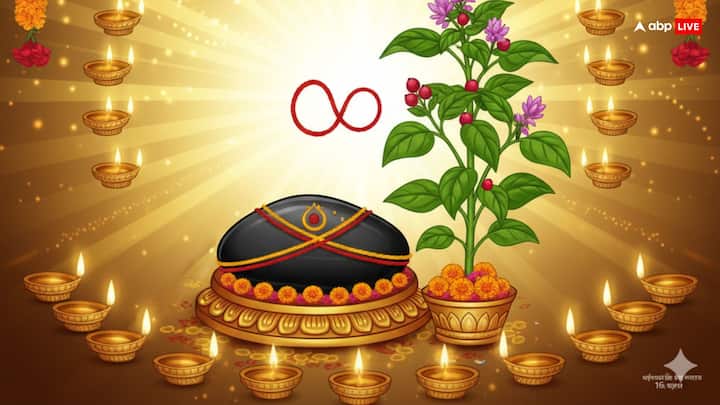 जिनके जीवन में विवाह से संबंधित परेशानियां आ रहीं हैं, वे तुलसी विवाह के दिन सुबह स्नान करने से पहले पानी में एक चुटकी हल्दी मिला लें. यह करने से शरीर और मन दोनों शुद्ध होते हैं. फिर तुलसी माता और भगवान शालिग्राम की पूजा के समय उन्हें हल्दी का लेप या हल्दी मिश्रित दूध अर्पित करें. इससे व्यक्ति का गुरु ग्रह बृहस्पति भी बदल जाता है और विवाह के योग मजबूत होते हैं.