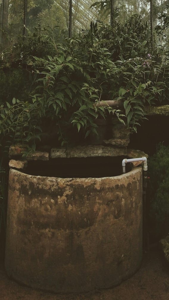 धौलाकुआं का नाम क्यों रखा गया धौलाकुआं?