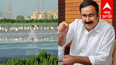 பள்ளிக்கரணை சதுப்பு நிலத்தில் ரூ.2000 கோடி ஊழல்? - அன்புமணி ராமதாஸ் குற்றச்சாட்டு