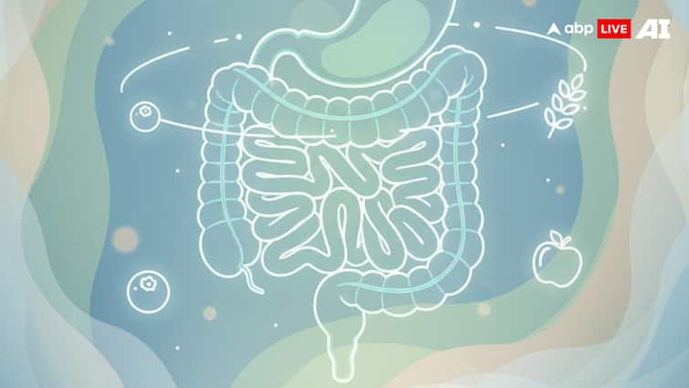 Gastrointestinal Health: Common Foods To Avoid For Better Digestion And Preventing Gastric Diseases Gastrointestinal Health: Common Foods To Avoid For Better Digestion And Preventing Gastric Diseases