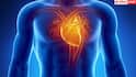 Heart Failure Symptoms : గుండె వైఫల్యం ముందస్తు సంకేతాలివే.. ఈ లక్షణాలను అస్సలు నిర్లక్ష్యం చేయకండి