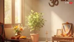 Vastu Shashtra: अगर आपके घर में दिख रहे हैं ये संकेत तो समझ लें, अच्छा समय होने वाला है शुरू!