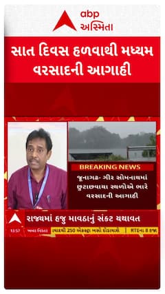 Gujarat Rain Forecast : ગુજરાત પર માવઠાનું સંકટ , હજુ 7 દિવસ પડશે વરસાદ, જુઓ મોટા સમાચાર