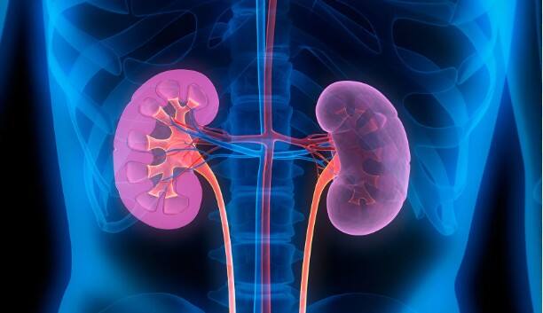 ਭੁੱਖ ਘੱਟ ਜਾਂਦੀ ਹੈ। ਭੋਜਨ ਦਾ ਸੁਆਦ ਵੱਖਰਾ ਹੁੰਦਾ ਹੈ। ਮਤਲੀ ਅਤੇ ਉਲਟੀਆਂ ਅਕਸਰ ਹੁੰਦੀਆਂ ਹਨ। ਗੁਰਦੇ ਦੇ ਖੇਤਰ ਜਾਂ ਪੇਟ ਦੇ ਉੱਪਰਲੇ ਹਿੱਸੇ ਵਿੱਚ ਦਰਦ ਸ਼ੁਰੂ ਹੋ ਜਾਂਦਾ ਹੈ। ਸਾਹ ਲੈਣ ਵਿੱਚ ਤਕਲੀਫ਼ ਹੁੰਦੀ ਹੈ। ਬਲੱਡ ਪ੍ਰੈਸ਼ਰ ਗੰਭੀਰ ਹੋ ਜਾਂਦਾ ਹੈ।