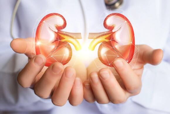 ਇਹ ਲੱਛਣ ਮਹਿਸੂਸ ਹੋਣ ਤਾਂ ਕੀ ਕਰਨਾ ਹੈ? ਜੇਕਰ ਤੁਹਾਨੂੰ ਇਹ ਲੱਛਣ ਮਹਿਸੂਸ ਹੁੰਦੇ ਹਨ, ਤਾਂ ਤੁਰੰਤ ਡਾਕਟਰ ਨਾਲ ਸਲਾਹ ਕਰੋ। ਗੁਰਦੇ ਦੀਆਂ ਸਮੱਸਿਆਵਾਂ ਨੂੰ ਨਜ਼ਰਅੰਦਾਜ਼ ਨਹੀਂ ਕਰਨਾ ਚਾਹੀਦਾ; ਉਨ੍ਹਾਂ ਨੂੰ ਤੁਰੰਤ ਹੱਲ ਕਰਨ ਦੀ ਲੋੜ ਹੈ। ਸਿਹਤਮੰਦ ਖੁਰਾਕ ਬਣਾਈ ਰੱਖੋ ਅਤੇ ਸ਼ਰਾਬ ਪੀਣ ਤੋਂ ਦੂਰ ਰਹੋ। ਜਿਨ੍ਹਾਂ ਲੋਕਾਂ ਨੂੰ ਸ਼ੂਗਰ ਜਾਂ ਬਲੱਡ ਪ੍ਰੈਸ਼ਰ ਦੀ ਸਮੱਸਿਆ ਹੈ, ਉਨ੍ਹਾਂ ਨੂੰ ਗੁਰਦੇ ਦੀਆਂ ਸਮੱਸਿਆਵਾਂ ਬਾਰੇ ਖਾਸ ਤੌਰ 'ਤੇ ਸਾਵਧਾਨ ਰਹਿਣਾ ਚਾਹੀਦਾ ਹੈ।