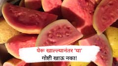 Guava Facts : पेरू खाल्ल्यानंतर 'या' गोष्टींचा होऊ शकतो त्रास!