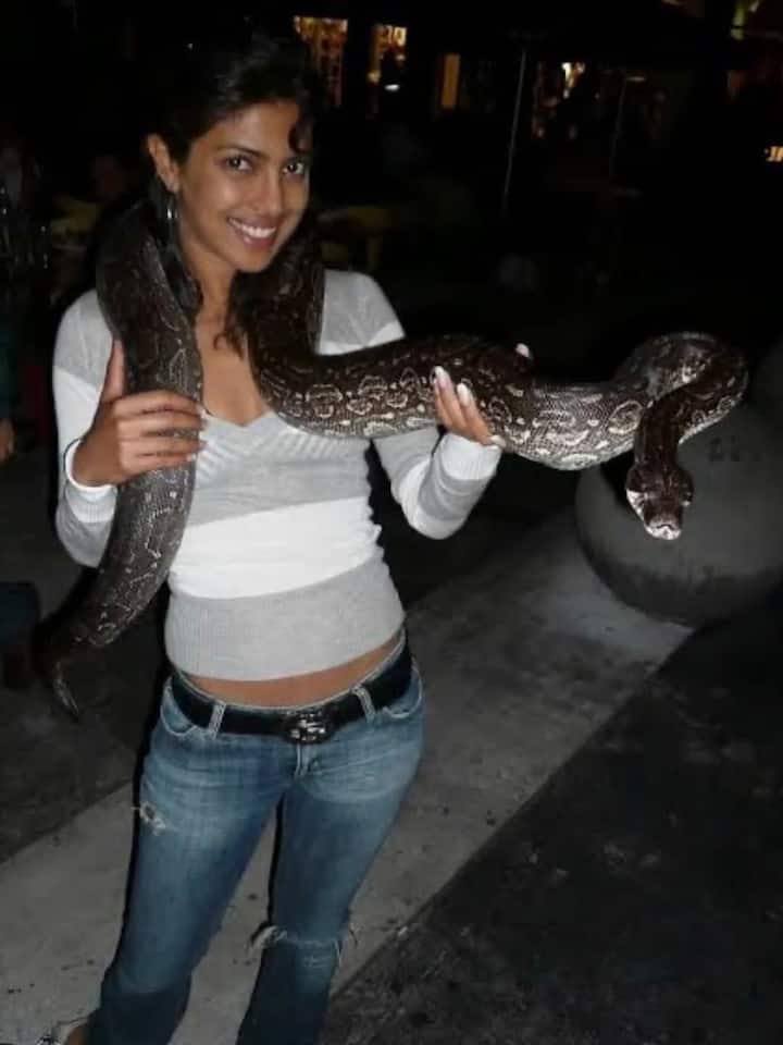 बॉलीवुड की देसी गर्ल का ऐसा अंदाज फैंस को काफी पसंद भी आ रहा है और यूजर्स उनकी पोस्ट पर लाइक्स और कॉमेंट्स की बरसात भी कर रहे हैं. वहीं वर्कफ्रंट की बात करें तो जल्द ही प्रियंका चोपड़ा एसएस राजामौली की फिल्म के जरिए इंडियन फिल्म इंडस्ट्री में वापसी करने वाली हैं.