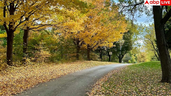 साल्ट लेक सिटी और स्कोप्जे का AQI भी 20 से नीचे रहा. साल्ट लेक सिटी में सर्दियों में प्रदूषक हवा में फंस जाते हैं. स्कोप्जे घाटी में बसा होने के कारण प्रदूषण से जूझता है और यहां पुराने वाहन व कोयले का इस्तेमाल हालात को और खराब कर देते हैं.